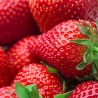 Zemene, aromātiskā eļļa