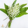 Maijpuķītes, aromātiskā eļļa
