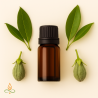 Vīraks, frankincense, bosvēlija, ēteriskā eļļa