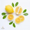 Citrons, aromātiskā eļļa