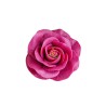 Silikona veidne Roze Katrīna L, 70x53 mm