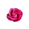 Silikona veidne Roze Katrīna M, 54x49 mm