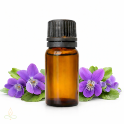 Meža vijolīte, aromātiskā eļļa