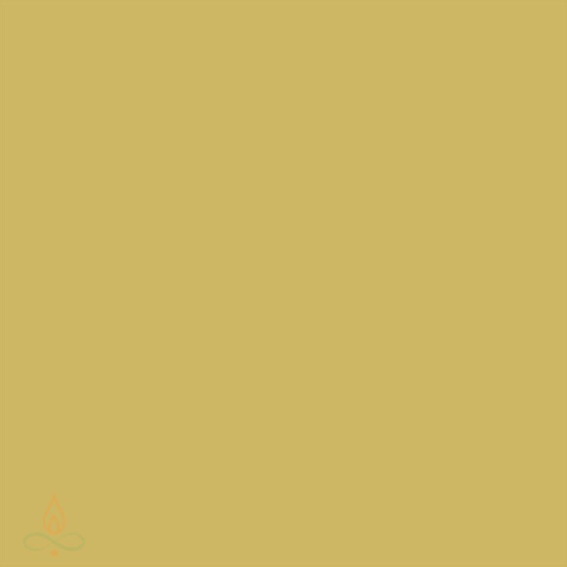 Bronzas zelta, vaska plāksne, 450x250x0.5 mm